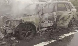 理想车主爆料视频最新版,揭秘理想L7性能与续航之谜